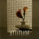 ATTITUDE ATTITUDE